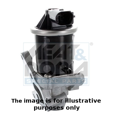 EGR Valve